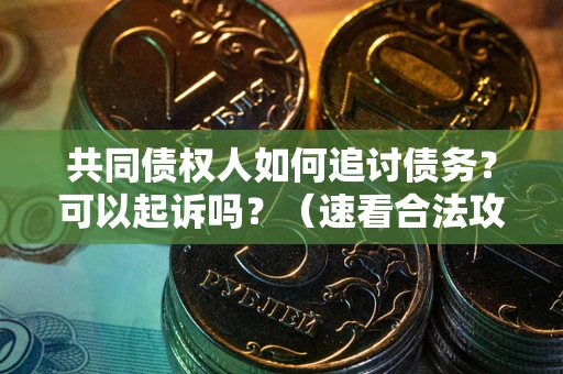 济南共同债权人如何追讨债务？可以起诉吗？（速看合法攻略）